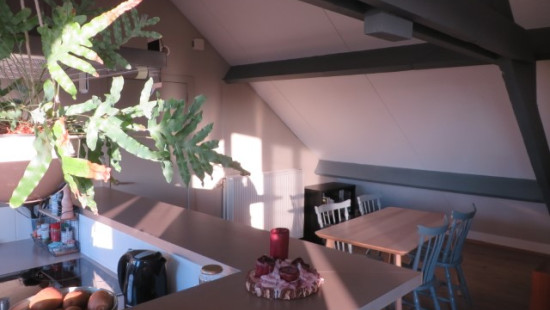 Pluimstraat - 1 - 0031 - 8500