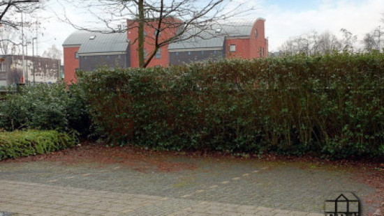 Stadswal - 1 - - 3580