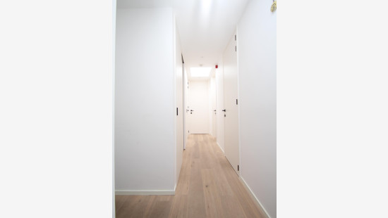 Gentse Baan - 45A - Bus 101 - 9100