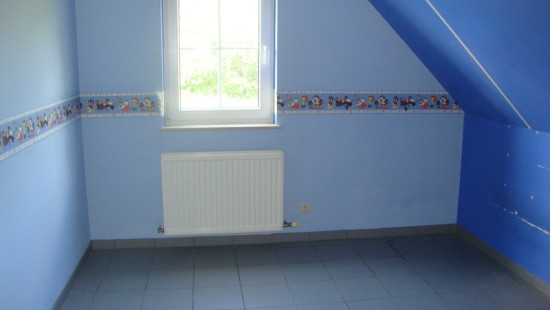 Roerdompst - 25 - - 3580