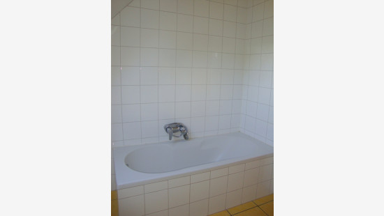Roerdompst - 25 - - 3580