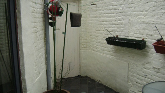Vander Merschplein - 38 - - 8930