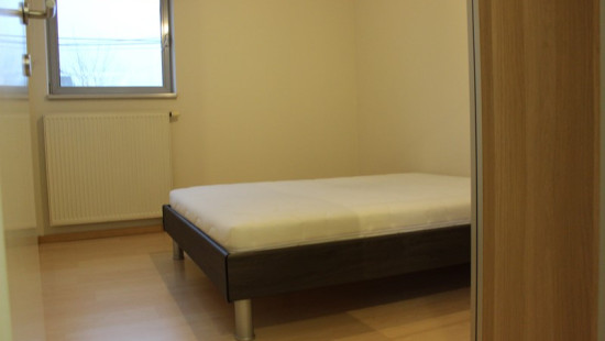 Tongerlostraat - 23 - A - 2260