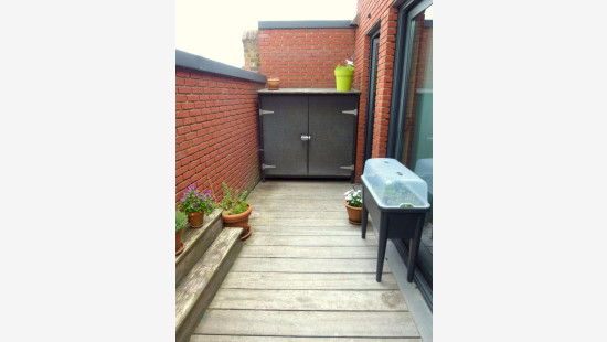 Doelstraat - 11 - - 3545