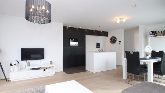 Gentse Baan - 45A - Bus 101 - 9100