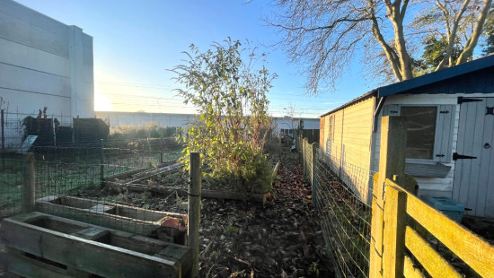 Hogeweg - 108 - - 8930