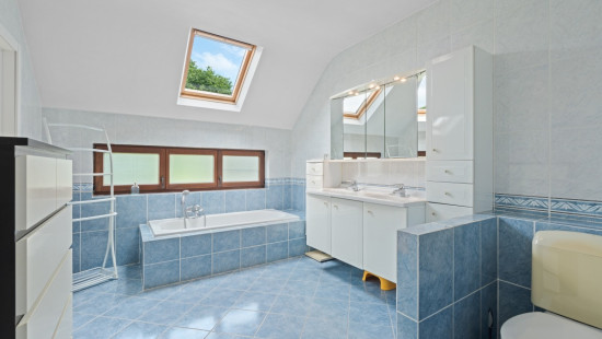 Mankevosstraat - 11 - - 1860