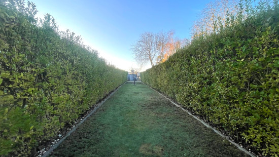 Hogeweg - 108 - - 8930