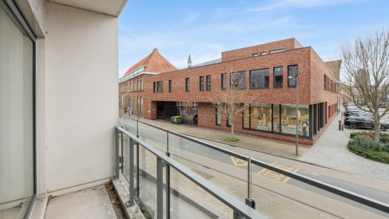 Daniel De Haenelaan - 4A - 0101 - 8630