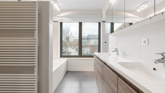 Daniel De Haenelaan - 4A - 0101 - 8630