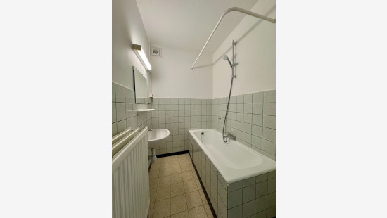 Hoogtepunt - 11 - - 1731