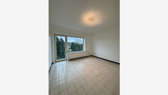 Hoogtepunt - 11 - - 1731