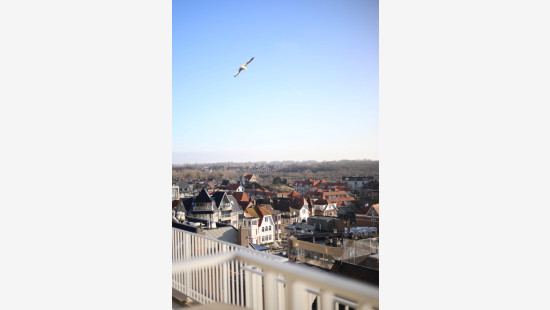 Zeedijk - 30 - 0901 - 8660