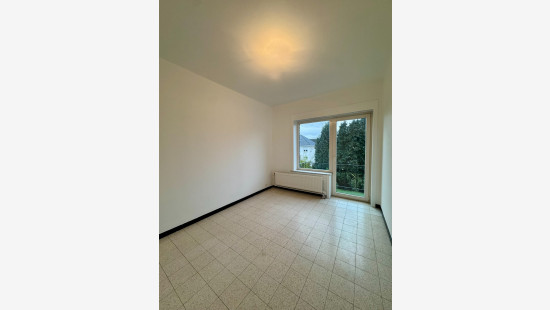 Hoogtepunt - 11 - - 1731