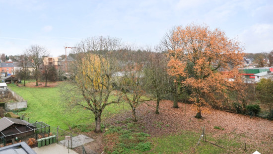 Pastoor Frederickxstraat - 30 - C - 3560