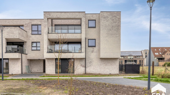 Hezerpad - ZN - - B09 - 3920