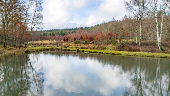 Randoux - 10 - - 6660