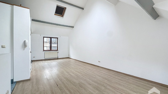 Chaussée de Charleroi - 181 - 1 - 1060