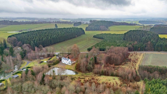 Randoux - 10 - - 6660