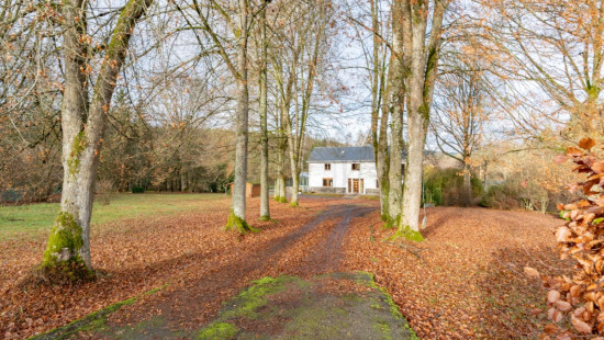 Randoux - 10 - - 6660