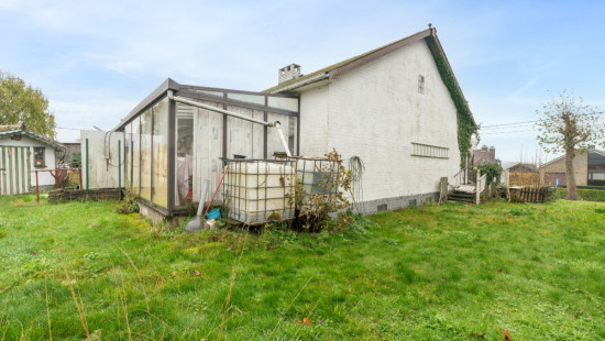 Meuleken - 50 - - 9961