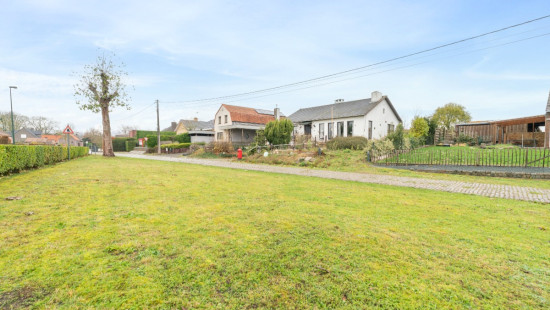 Meuleken - 50 - - 9961