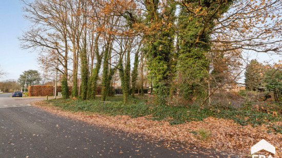 Merelstraat - 15 - - 3920