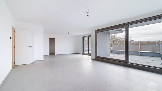 Chaussee de Nivelles - 222 - D31 - D31 - 1420