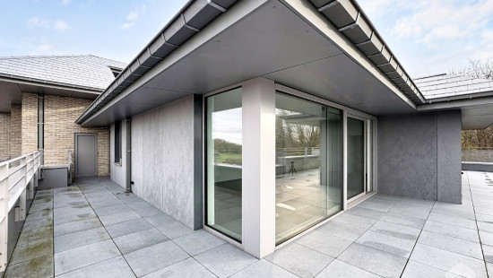 Chaussee de Nivelles - 222 - D31 - D31 - 1420