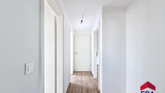 Chemin d&#039;Antheit - 97 - 15 - 4500