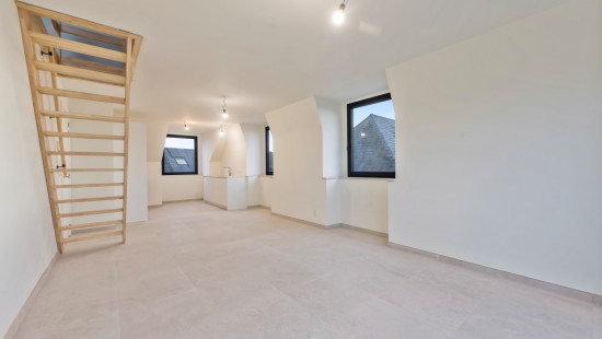 Frankrijkstraat - 12 - 201 - 9290