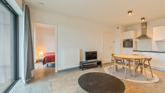 Desguinlei - 86 - 604 - 2018