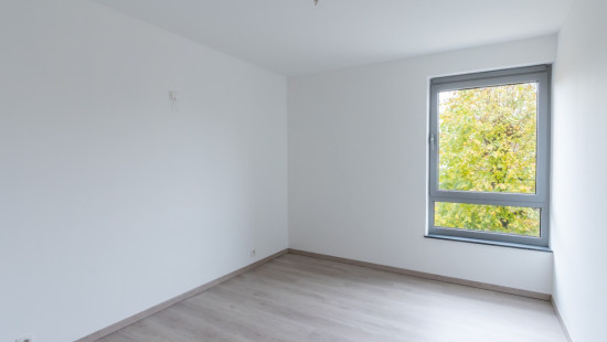 Clos rené lemaire - 5 - 1.4 - 6600