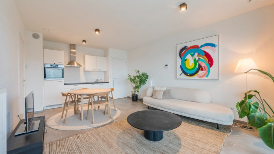 Desguinlei - 86 - 604 - 2018