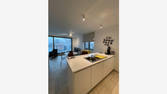 Westerlaan - 39 - 22 - 8790