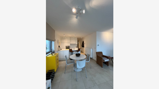 Westerlaan - 39 - 22 - 8790