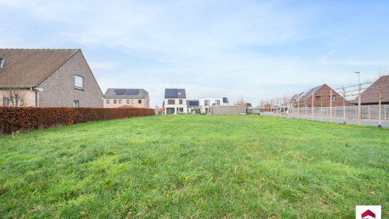 Papegaaistraat - 57 - A - 8780