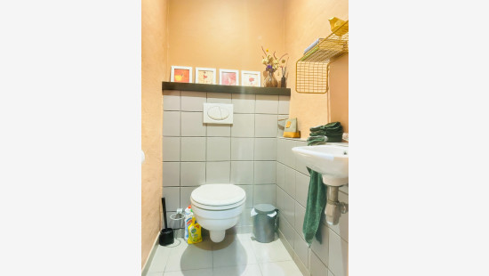 De Knok - 52 - - 8560