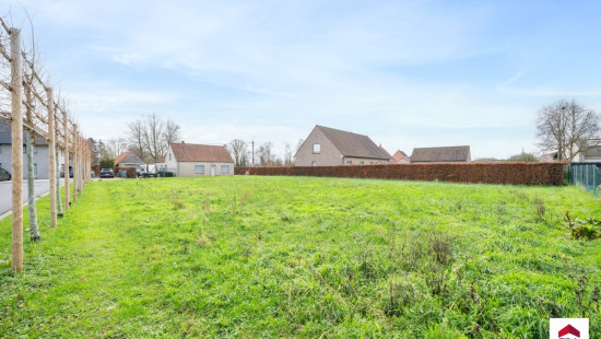 Papegaaistraat - 57 - A - 8780