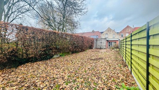 De Knok - 52 - - 8560