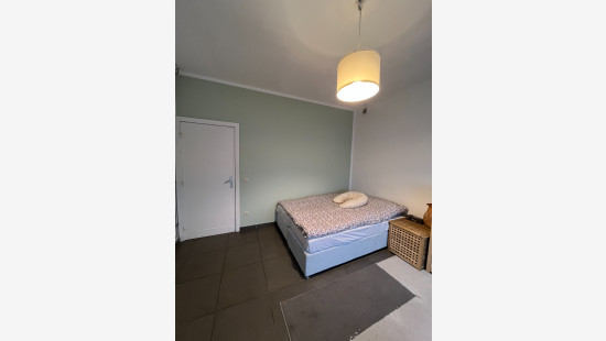 Grote Leiestraat - 9 - - 8570