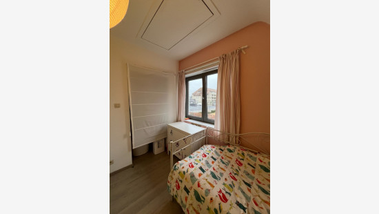 Grote Leiestraat - 9 - - 8570