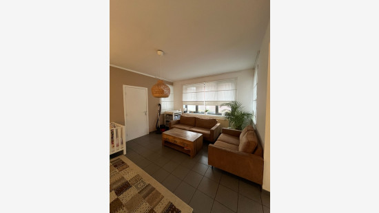 Grote Leiestraat - 9 - - 8570