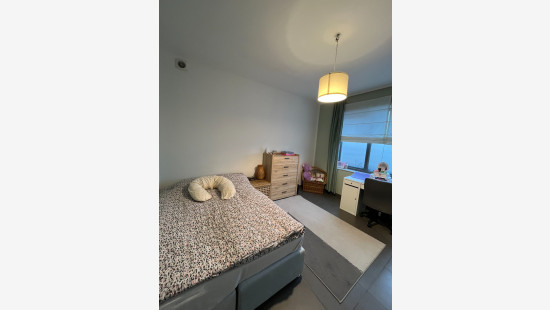 Grote Leiestraat - 9 - - 8570