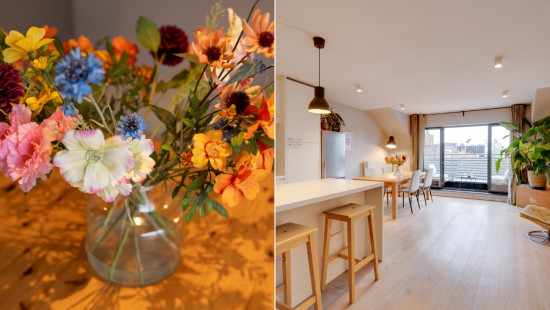 Doelveldstraat - 9 - - 2650