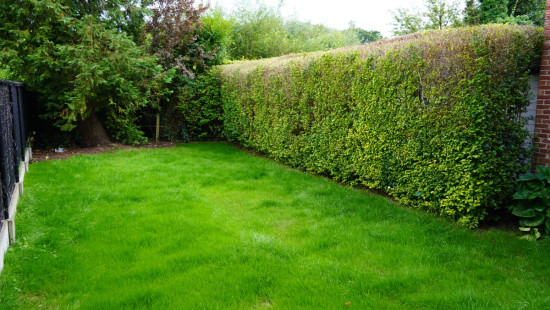 Grote Baan - 116 - 2 - 3511