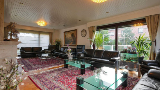 Sinteldreef - 11 - - 2300