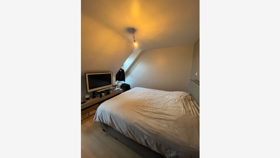 Hoogveld - 6 - 1 - 3550