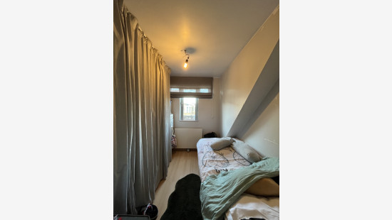 Hoogveld - 6 - 1 - 3550