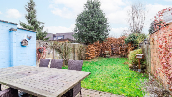 Laaglandlei - 27 - - Schoten